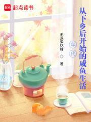 年代从下乡后开始的咸鱼生活无防盗