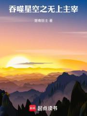 吞噬星空之无上主宰全文免费阅读
