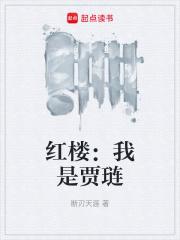 红楼我是贾琏 断刃天涯TXT