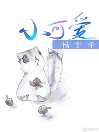 小可爱歌词