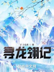 寻龙令怎么用