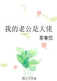 我的老公是大佬无弹窗
