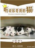 听说我是你的猫