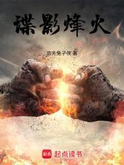 谍影风云在线阅读