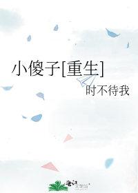 小傻子重生记动画