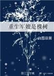 重生军嫂是医生