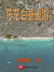 白茫茫 意思