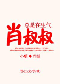 肖叔叔总是在生气TXT