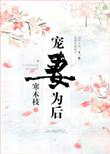 宠妻为后番外txt