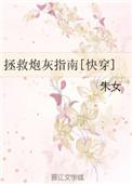 拯救炮灰攻略