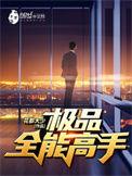 极品全能高手几个老婆