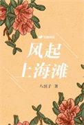 风起上海滩TXT免费