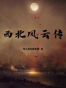 西北风云结局什么意思
