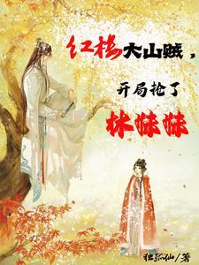红楼之开局就娶林