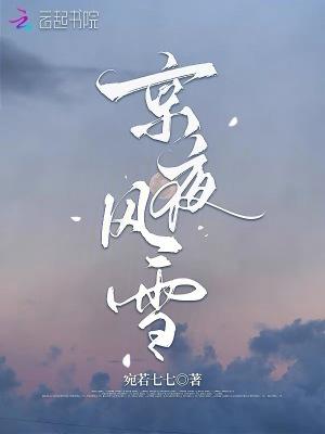 京夜风雪讲的什么故事