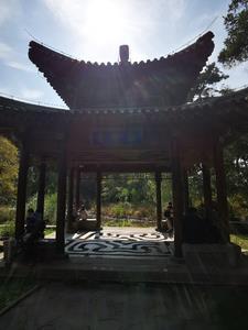 魔界仙侠传攻略