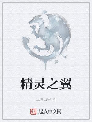 精灵之翼羽毛球拍是不是品牌