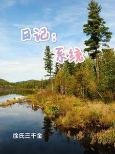 系统日常流