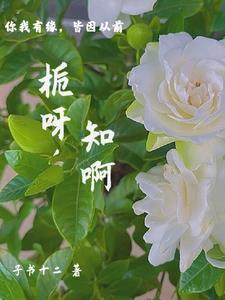 栀啥意思