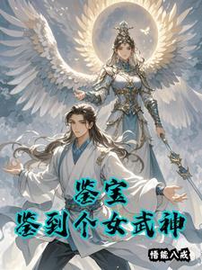 鉴宝无女主文