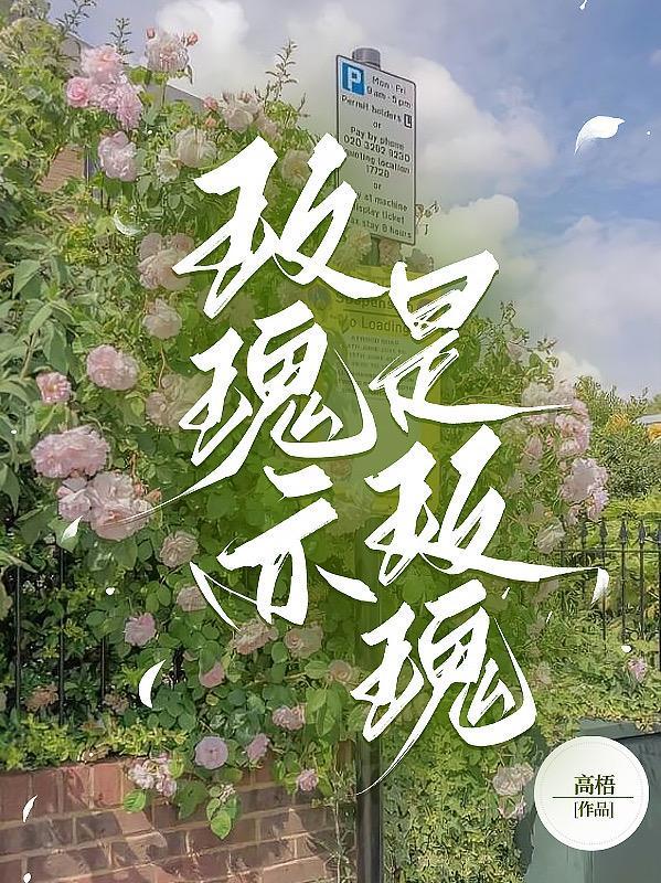 玫瑰亦玫瑰作者