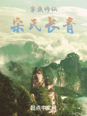 电视连续剧宋氏家族