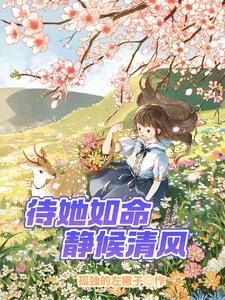 我的傻娘视频