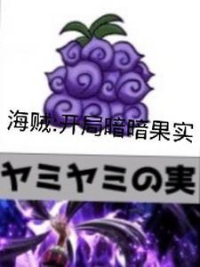 海贼王之暗暗果实大将
