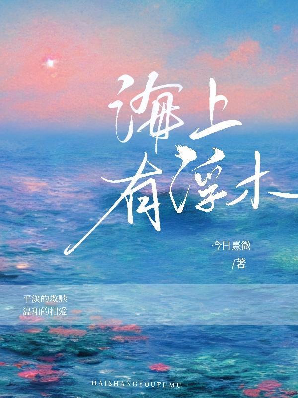 浮游在海上的岛屿