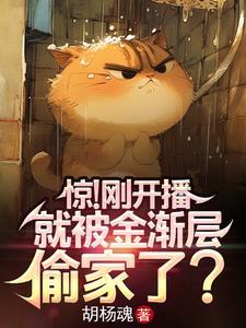 金渐层猫好吗