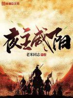 咸阳中心主城区