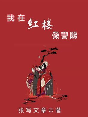 我在红楼写