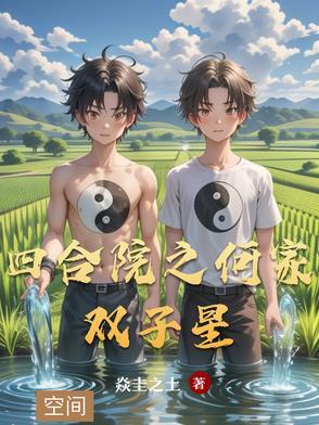 四合院何家双子星免费观看