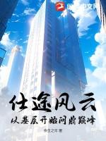 仕途之风云再起无弹窗免费阅读