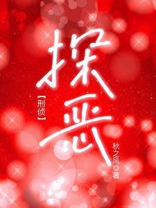探案的探是什么意思