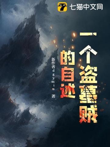 一个盗墓贼的自述文