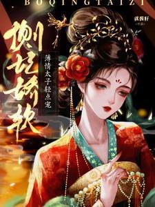 太子侧妃傻乎乎在线阅读