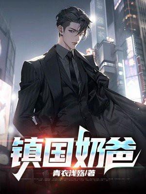 镇国奶爸北境江淮