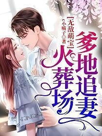无敌萌宝爹地追妻火葬场在线阅读