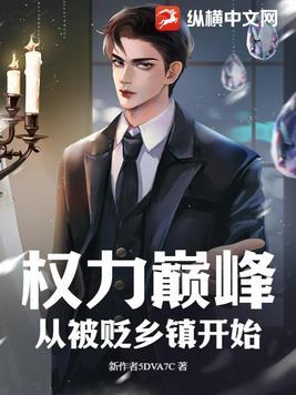 权力巅峰从被贬乡镇开始动漫