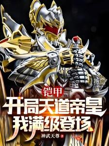 铠甲开局天道帝皇我满级登场神无道