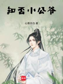 知否小公爷的大娘子