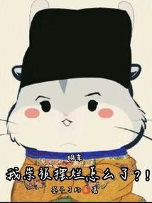 明末我崇祯摆烂怎么了?!txt