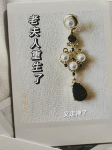 老夫人终于找到你了视频