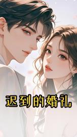 迟到的婚礼电视剧