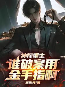 神探破案的电视剧