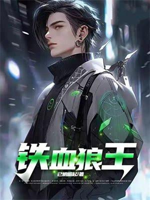 铁血狼烟什么意思
