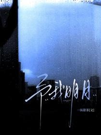 予我明月txt
