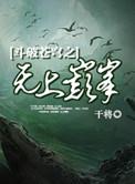 斗破苍穹之无上巅峰笔趣阁