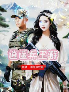 兵王完结篇